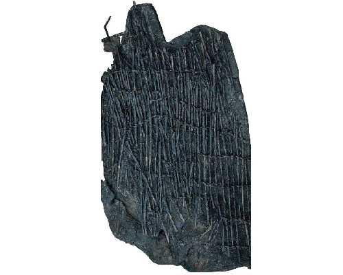 Foto van fragmenten van een visfuik van twijgen uit de Middeleeuwen