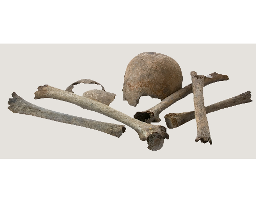 foto van menselijke resten uit de middeleeuwen